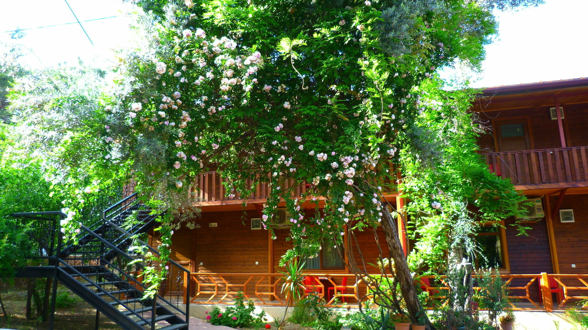 Cirali Simge Holiday Houses Exterior foto